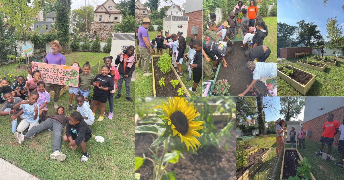 Roselle Urban Growers Program