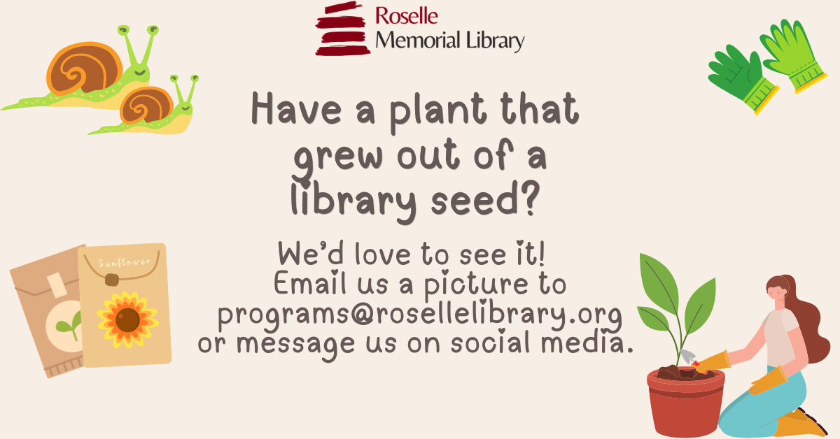 Roselle Memorial Library invites plant photos from library seed growers